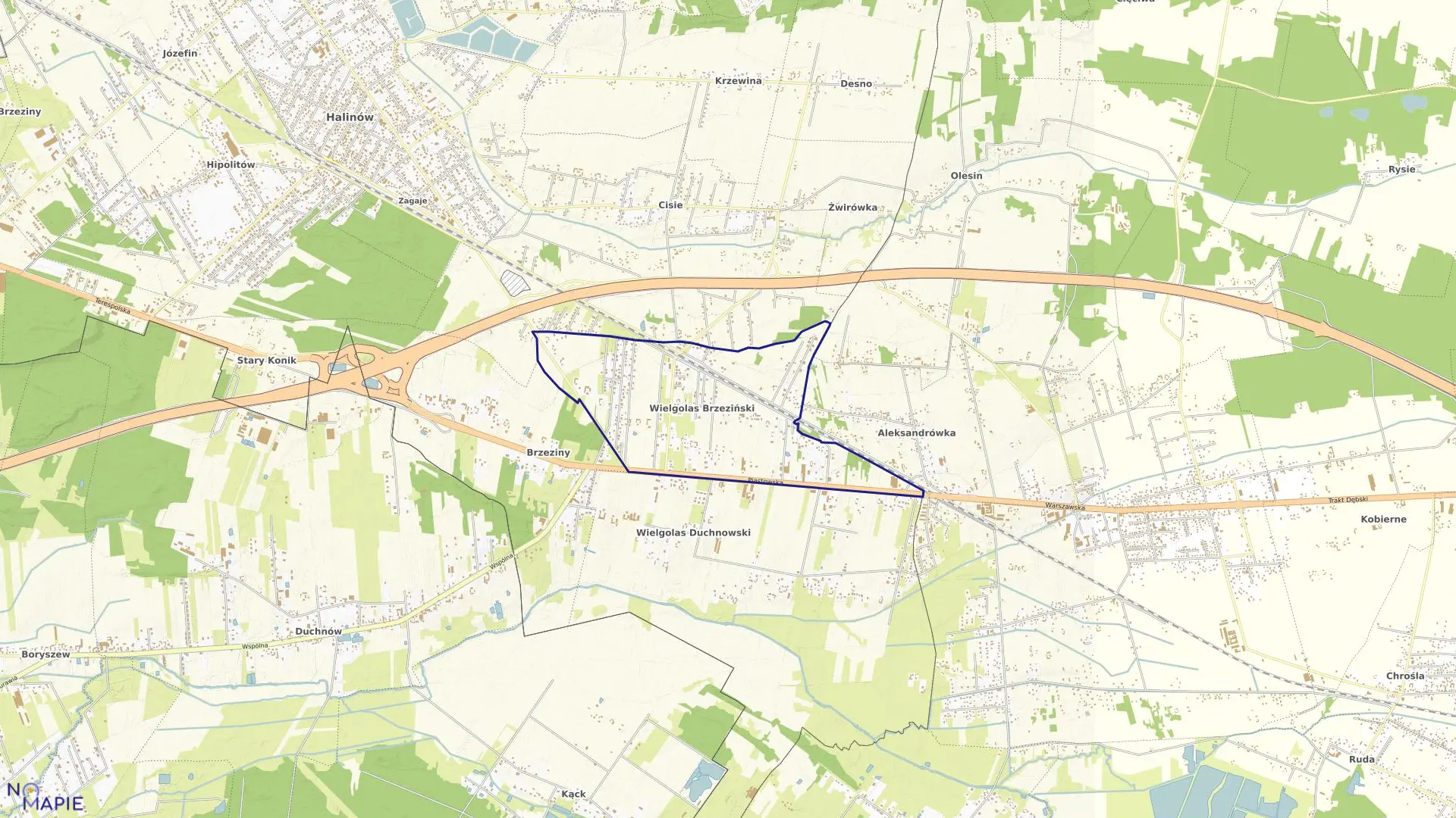 Mapa obrębu WIELGOLAS BRZEZIŃSKI w gminie Halinów